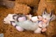 A woman laying on top of a pile of hay next to a stuffed animal.