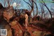 A naked woman standing on a rock in the woods.