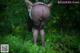 A woman in black pantyhose is standing in the woods.